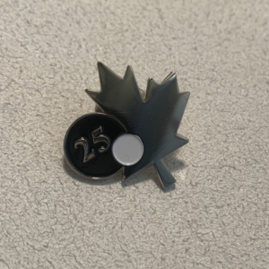 25 year Pin